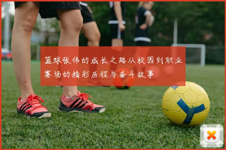 篮球张伟的成长之路从校园到职业赛场的精彩历程与奋斗故事