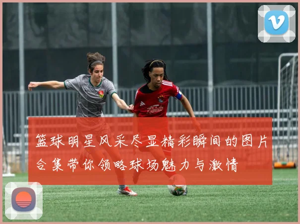 篮球明星风采尽显精彩瞬间的图片合集带你领略球场魅力与激情