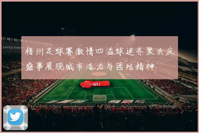 梧州足球赛激情四溢球迷齐聚共庆盛事展现城市活力与团结精神
