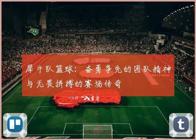 犀牛队篮球：奋勇争先的团队精神与无畏拼搏的赛场传奇