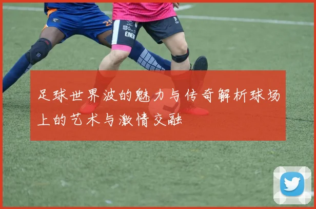 足球世界波的魅力与传奇解析球场上的艺术与激情交融